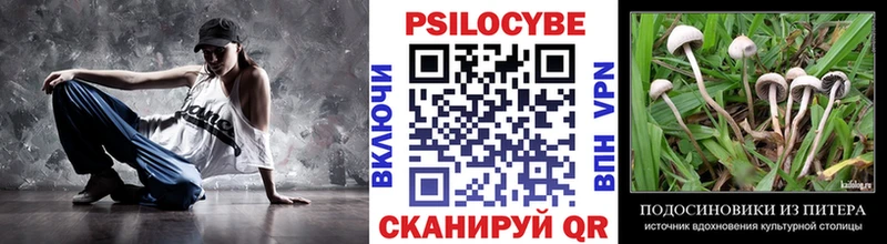 Купить  Рыбное  Галлюциногенные грибы GOLDEN TEACHER 